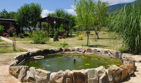 Территория, гостевой дом Горный воздух, г. Сочи, п. Аше, аул Хаджико