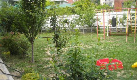 Детская площадка, гостевой дом Эдем, ольгинка