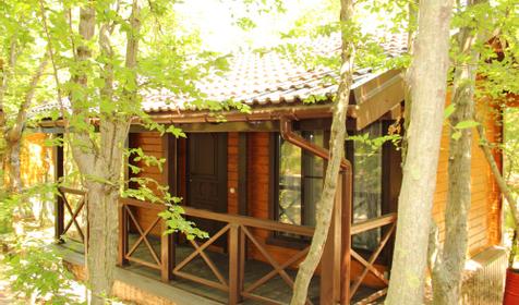 Коттедж. База отдыха Садко, п. Широкая Балка