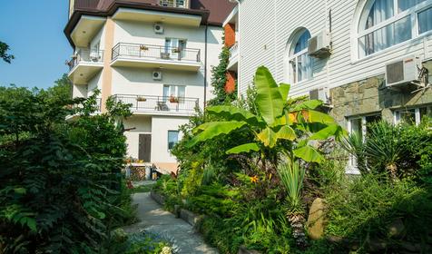 Территория. Гостевой дом Приморье, Туапсинский р-н, с. Ольгинка