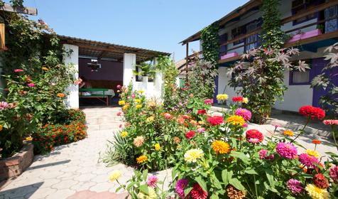 Двор. Гостевой дом Дарья, г. Анапа, ст. Благовещенская