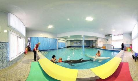 Терапия с дельфинами, отель Дельфин, г. Сочи, п. Лазаревское