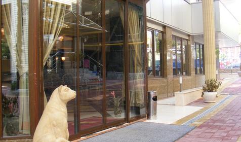 Вход, отель Дельфин, г. Сочи, п. Лазаревское