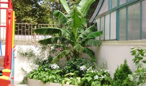 Двор. Гостевой дом Золотая рыбка, Туапсинский район, п. Ольгинка