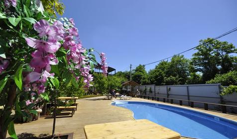 Гостевой дом Персиковый сад, г. Геленджик, п. Криница, с. Береговое