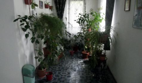 Гостевой дом Южный, г. Анапа