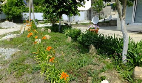 Территория. Мини-гостиница Ёжик, Туапсинский район, п. Джубга