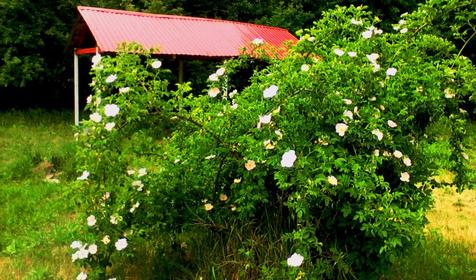 Туристская база Крымская поляна, Северский район