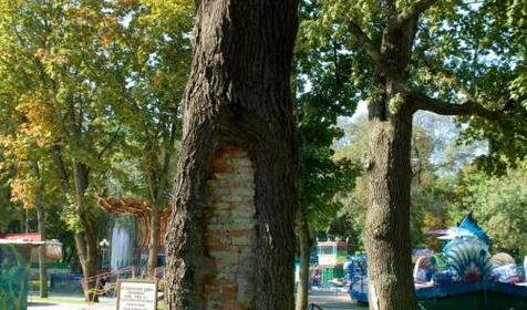 Городской сад