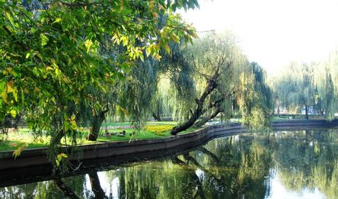 Городской сад