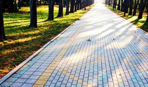 Городской сад