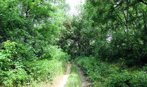 парк им. 30-летия победы