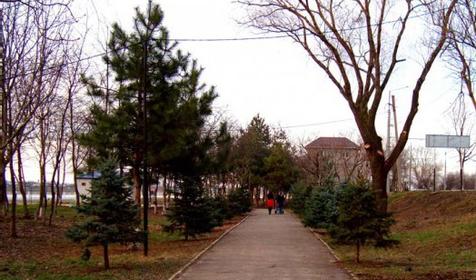 Рождественский парк