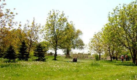 Рождественский парк