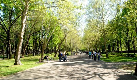 Солнечный остров парк