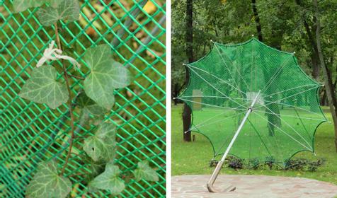 Чудо-зонтик в Чистяковской роще