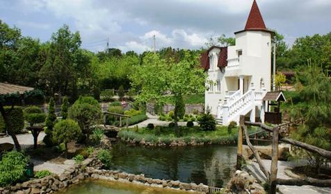 Кастальская купель. Фото: Галина Шефер