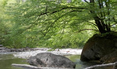 Гостевой дом "Нахаленок", ст.Бесленеевская