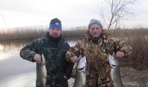 Рыболовно-охотничья база Азовские плавни, Славянский район, х. Ставки