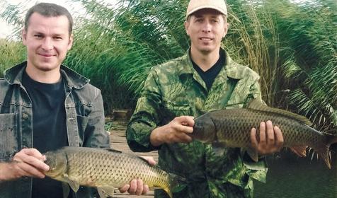 Рыболовно-охотничья база Азовские плавни, Славянский район, х. Ставки