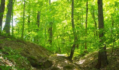 Расположение базы отдыха "Родничок", г. Горячий Ключ, с. Безымянное