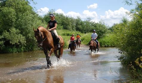 Конные прогулки