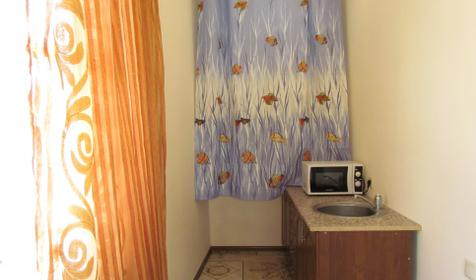 Кухня. Гостевой дом "Король Лев", г. Сочи, п. Горный воздух