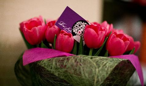 Студия красоты DaNata, г. Краснодар