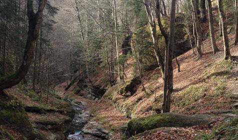 Гостевой дом "Нахаленок", ст. Бесленеевская