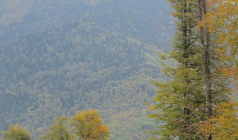 Горная Олимпийская деревня на "Роза Хутор"