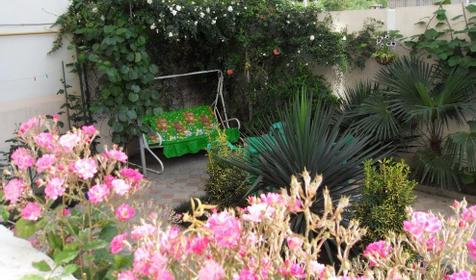 Территория. Гостевой дом Мишель, г. Сочи, Лазаревский район, п. Лазаревское