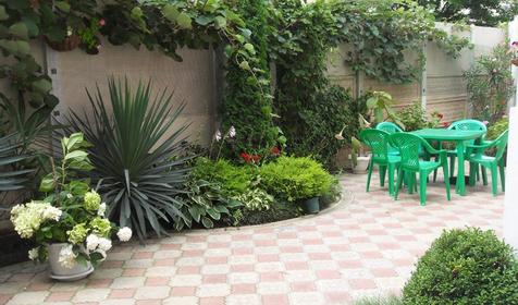 Территория. Гостевой дом Мишель, г. Сочи, Лазаревский район, п. Лазаревское