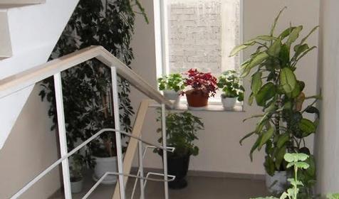 Территория. Гостевой дом Мишель, г. Сочи, Лазаревский район, п. Лазаревское