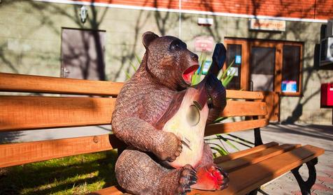 Территория. Пансионат Большая медведица, Апшеронский район, х. Гуамка