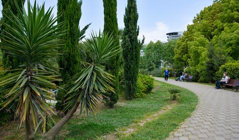 Сочи. Парк у морского вокзала