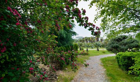 Сочи. Парк у морского вокзала