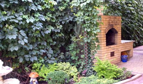 Территория. Гостевой дом Песчаный берег, г. Ейск