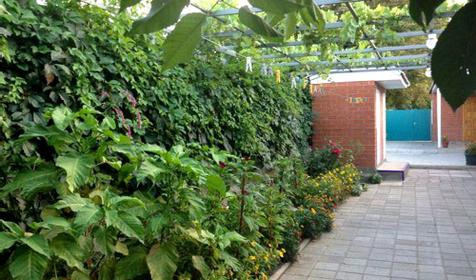 Гостевой дом Цветик, Темрюкский р-н, пос. Кучугуры