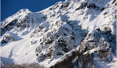 Природа Красной Поляны