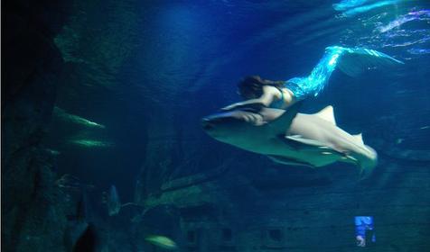 Океанариум Sochi Discovery World Aquarium, г. Сочи