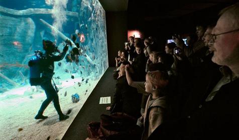 Океанариум Sochi Discovery World Aquarium, г. Сочи