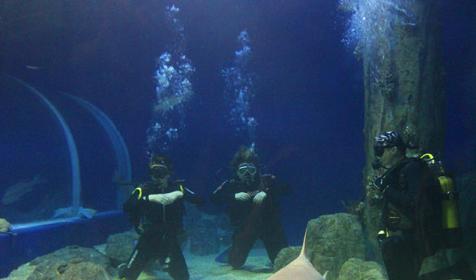 Океанариум Sochi Discovery World Aquarium, г. Сочи