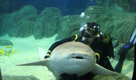 Океанариум Sochi Discovery World Aquarium, г. Сочи