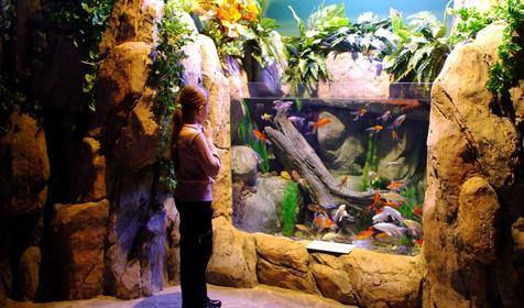 Океанариум Sochi Discovery World Aquarium, г. Сочи