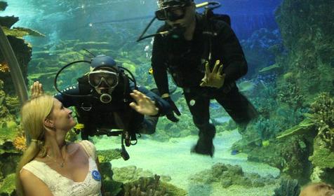 Океанариум Sochi Discovery World Aquarium, г. Сочи