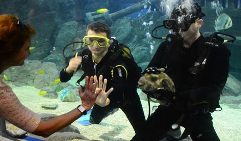 Океанариум Sochi Discovery World Aquarium, г. Сочи