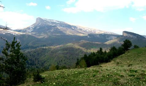 Lime дача, п. Узловой, Мостовской р-н