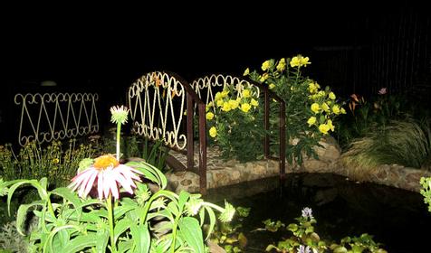 Гостевой дом Летний сад, пос. Сенной