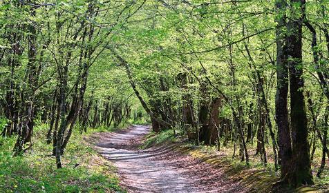 КФК "Дольмен"