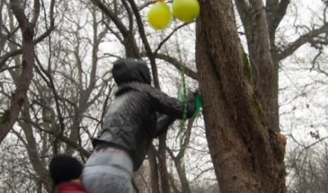 Корпоративы и тимбилдинги. Краснодарский клуб альпинистов Стремление, г. Краснодар